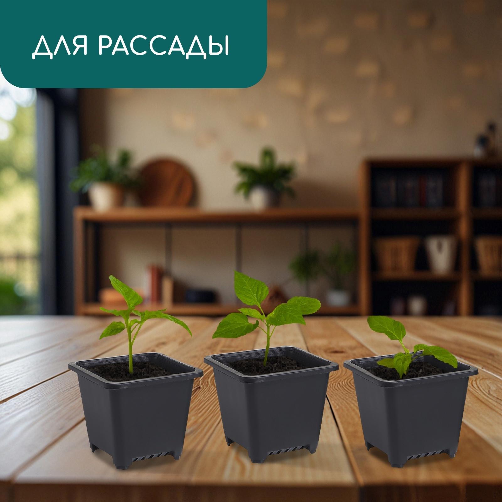 Горшок для рассады, 250 мл, d=9 см, h=8 см, пластик, чёрный, Greengo