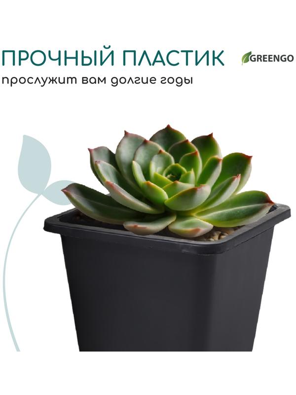 Горшок для рассады, 250 мл, d=9 см, h=8 см, пластик, чёрный, Greengo