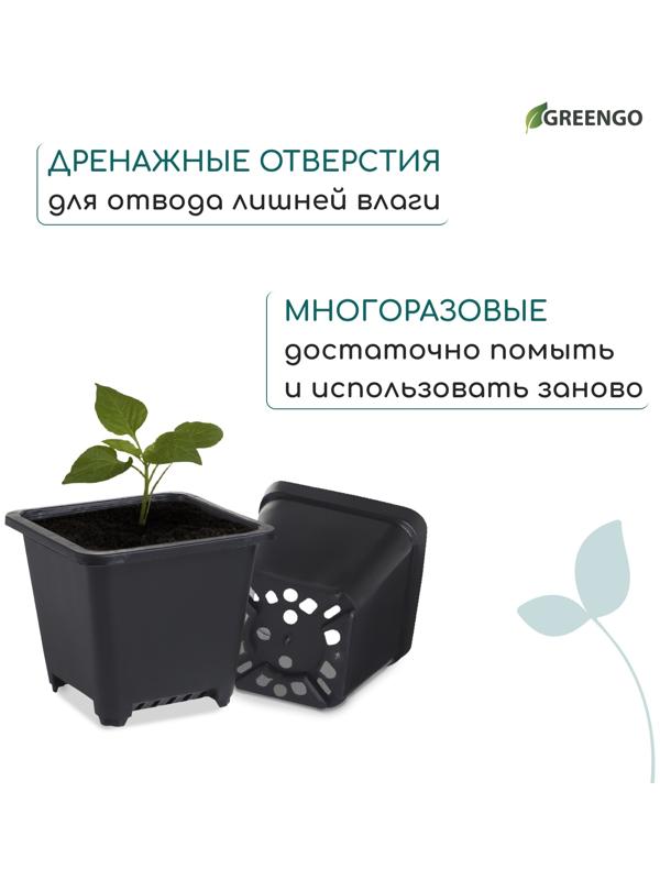 Горшок для рассады, 250 мл, d=9 см, h=8 см, пластик, чёрный, Greengo