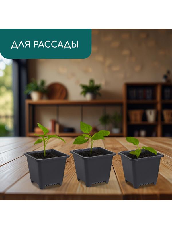 Горшок для рассады, 250 мл, d=9 см, h=8 см, пластик, чёрный, Greengo