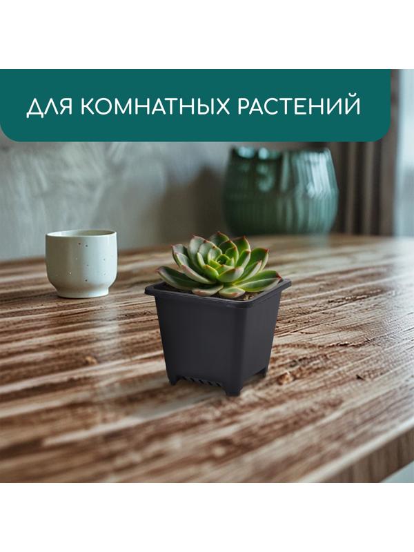 Горшок для рассады, 250 мл, d=9 см, h=8 см, пластик, чёрный, Greengo