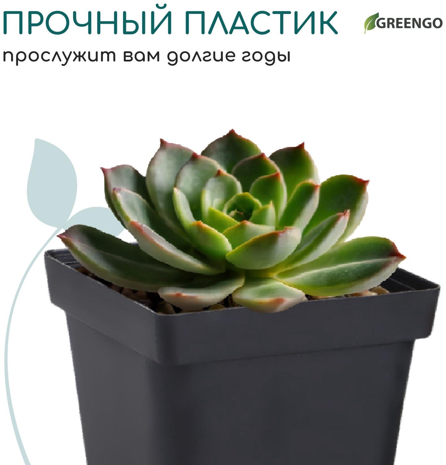 Горшок для рассады, 700 мл, d=10 см, h=12.5 см, пластик, чёрный, Greengo