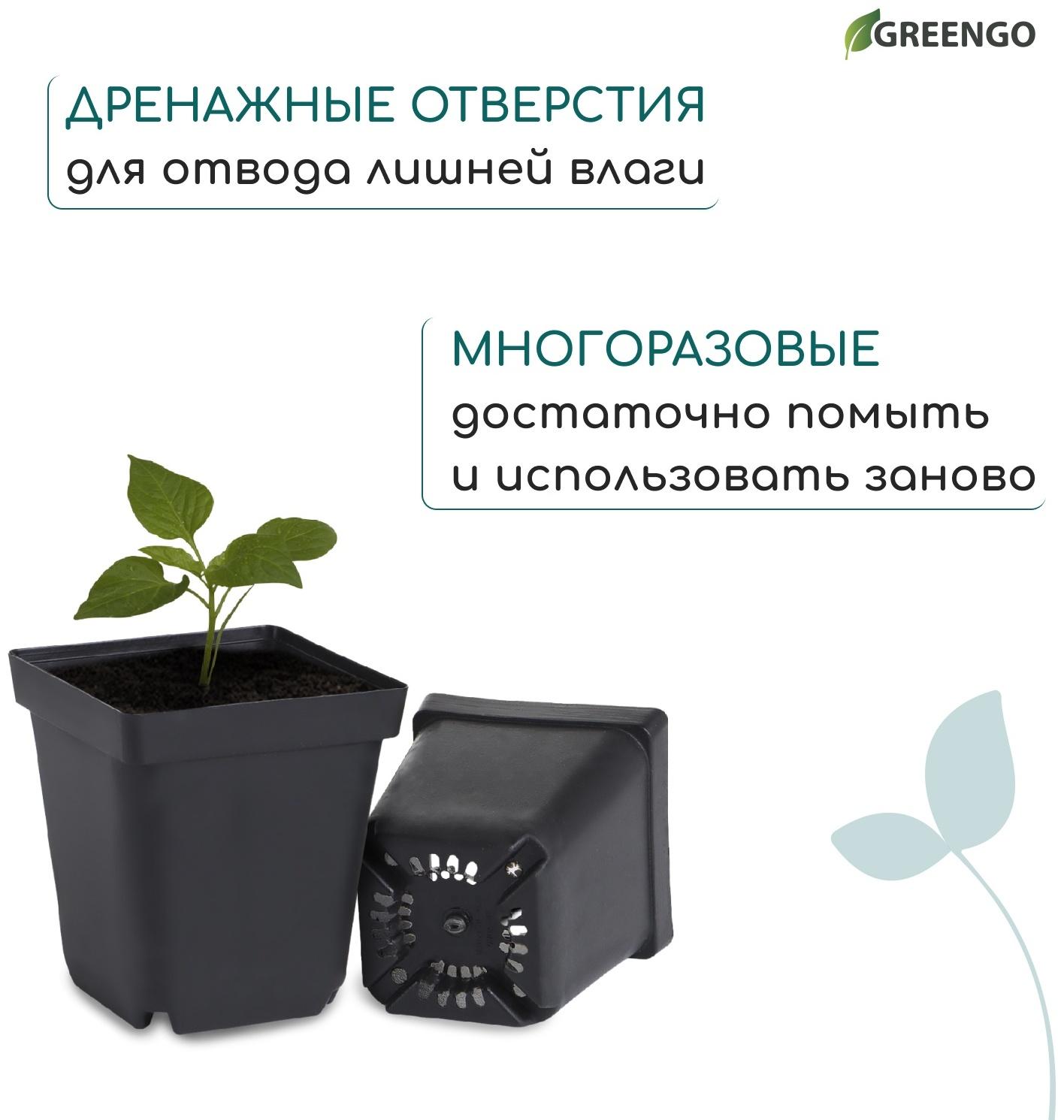 Горшок для рассады, 700 мл, d=10 см, h=12.5 см, пластик, чёрный, Greengo