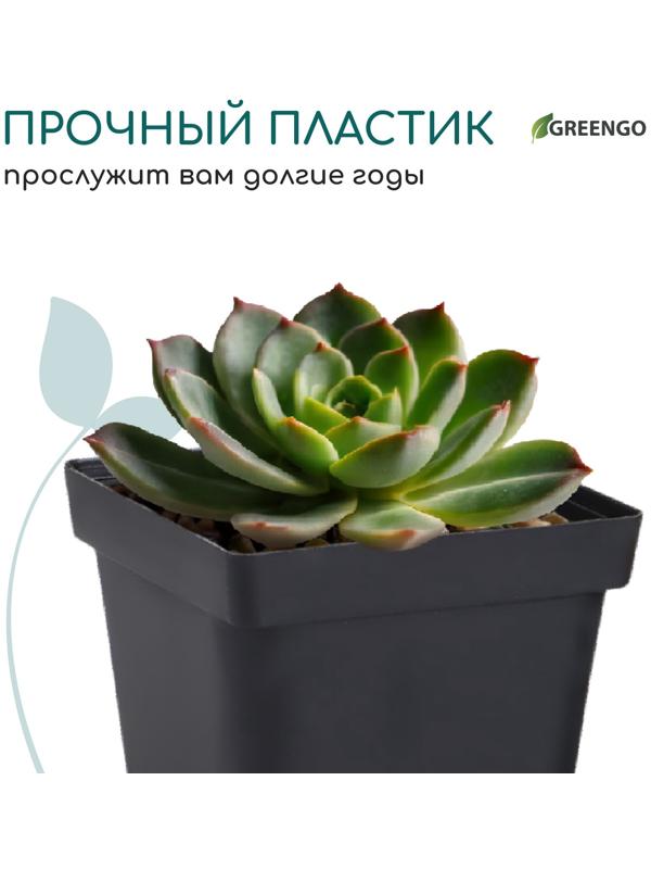 Горшок для рассады, 700 мл, d=10 см, h=12.5 см, пластик, чёрный, Greengo