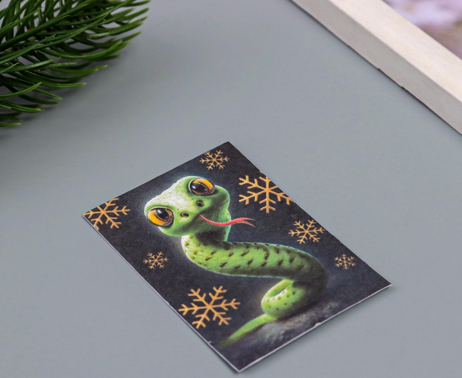 Открытка для выращивания «Арт Узор. Вырасти сам. Змейка» с семенами, 5×7 см