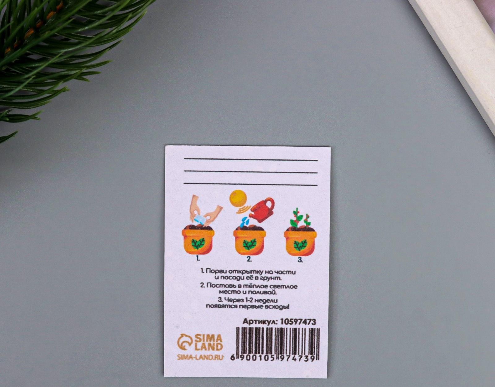 Открытка для выращивания «Арт Узор. Вырасти сам. Змейка» с семенами, 5×7 см