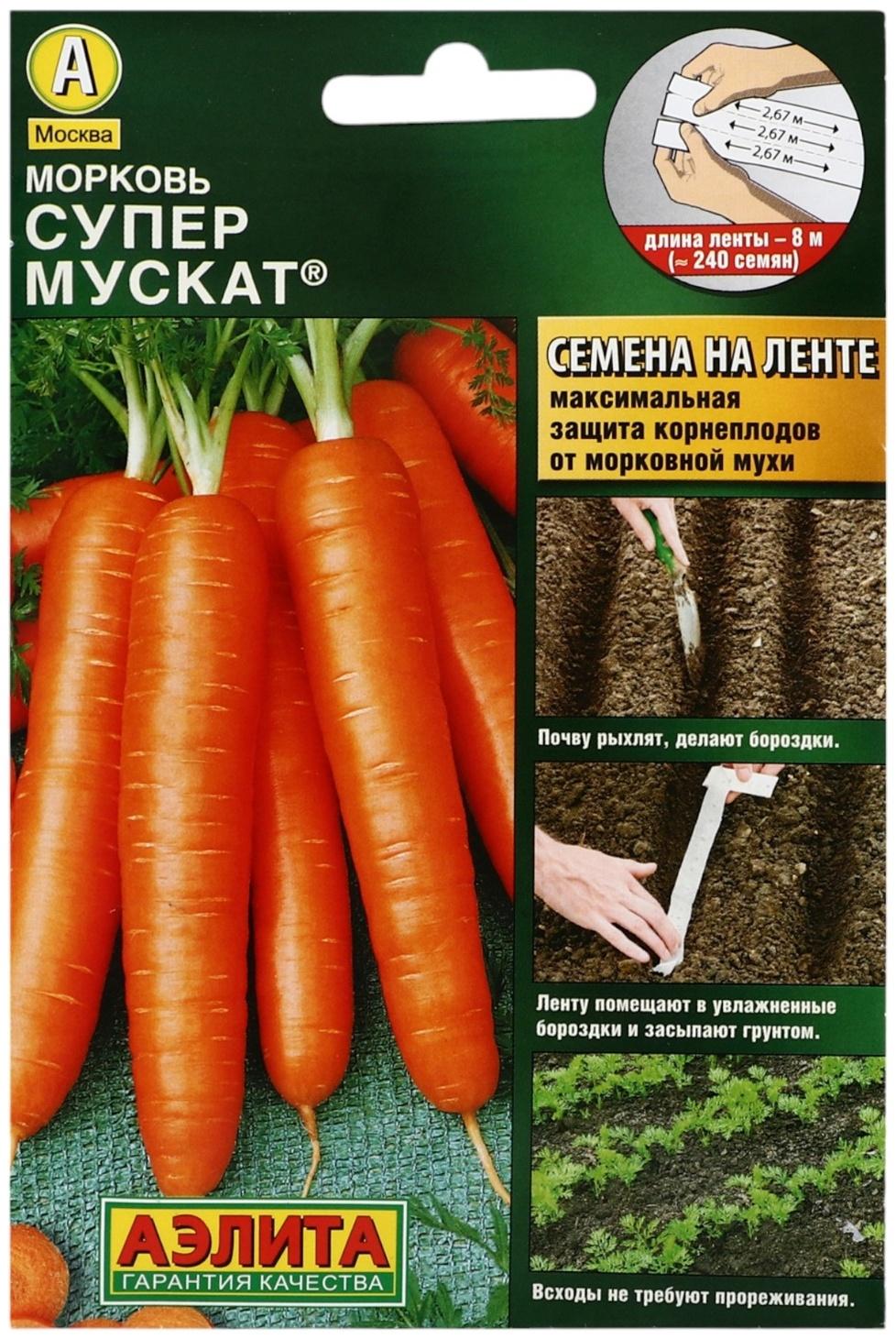 Семена Морковь 