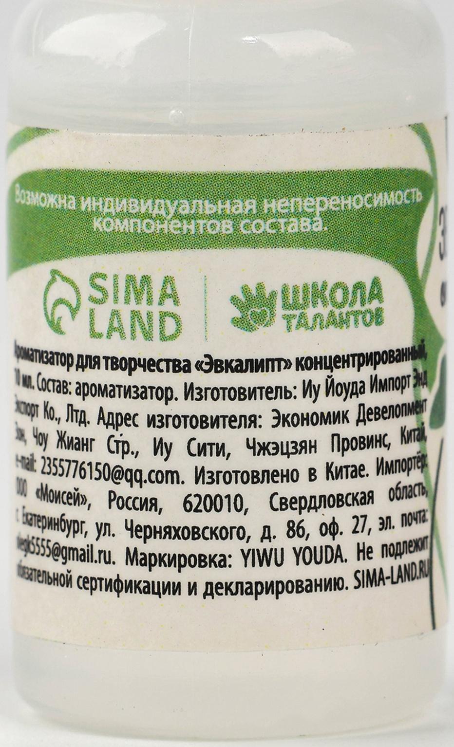 Ароматизатор для творчества «Эвкалипт», концентрированный, 10 мл