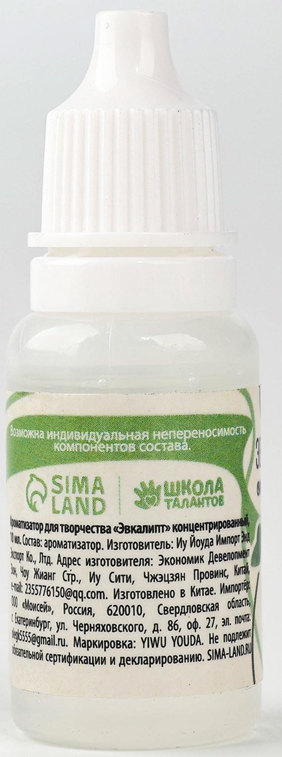 Ароматизатор для творчества «Эвкалипт», концентрированный, 10 мл