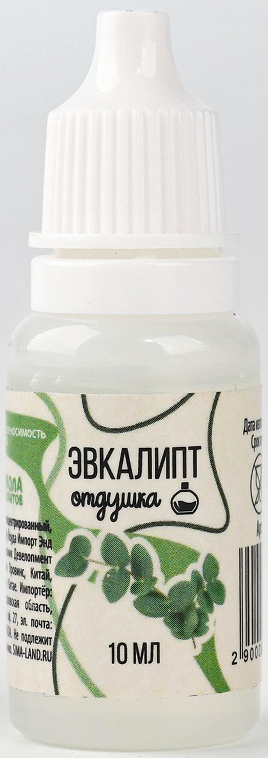 Ароматизатор для творчества «Эвкалипт», концентрированный, 10 мл