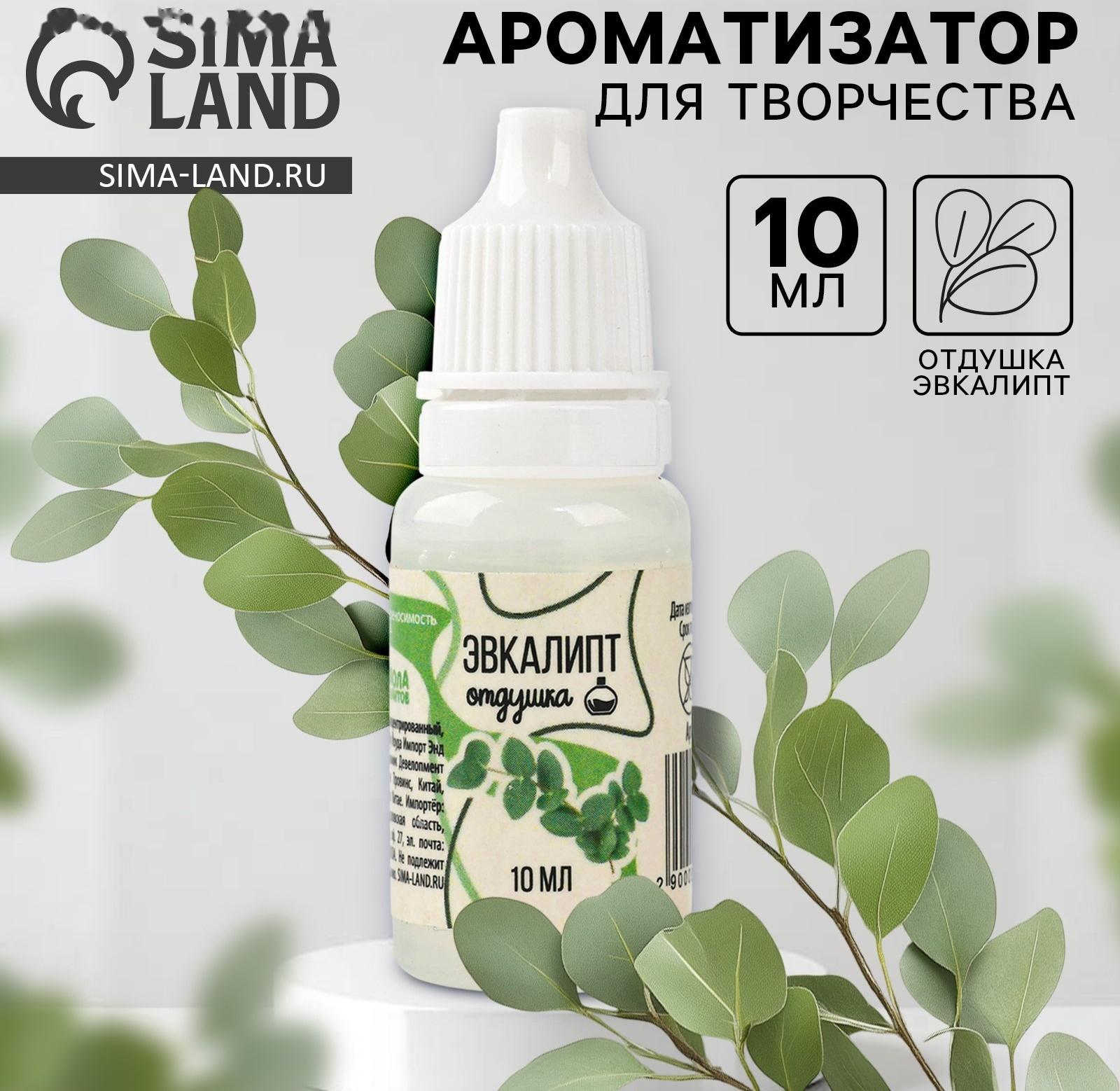 Ароматизатор для творчества «Эвкалипт», концентрированный, 10 мл