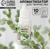 Ароматизатор для творчества «Эвкалипт», концентрированный, 10 мл