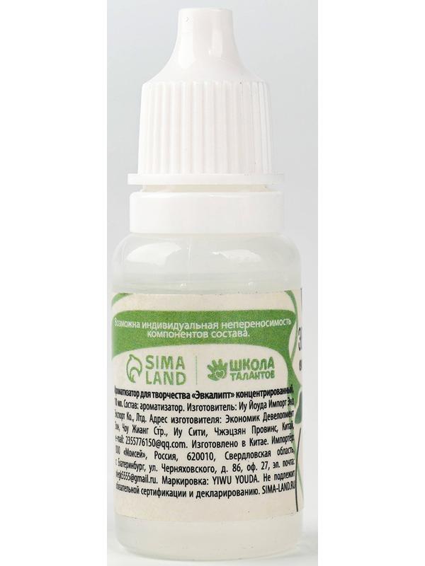 Ароматизатор для творчества «Эвкалипт», концентрированный, 10 мл