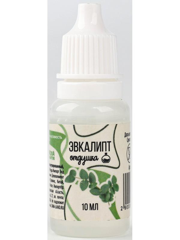 Ароматизатор для творчества «Эвкалипт», концентрированный, 10 мл