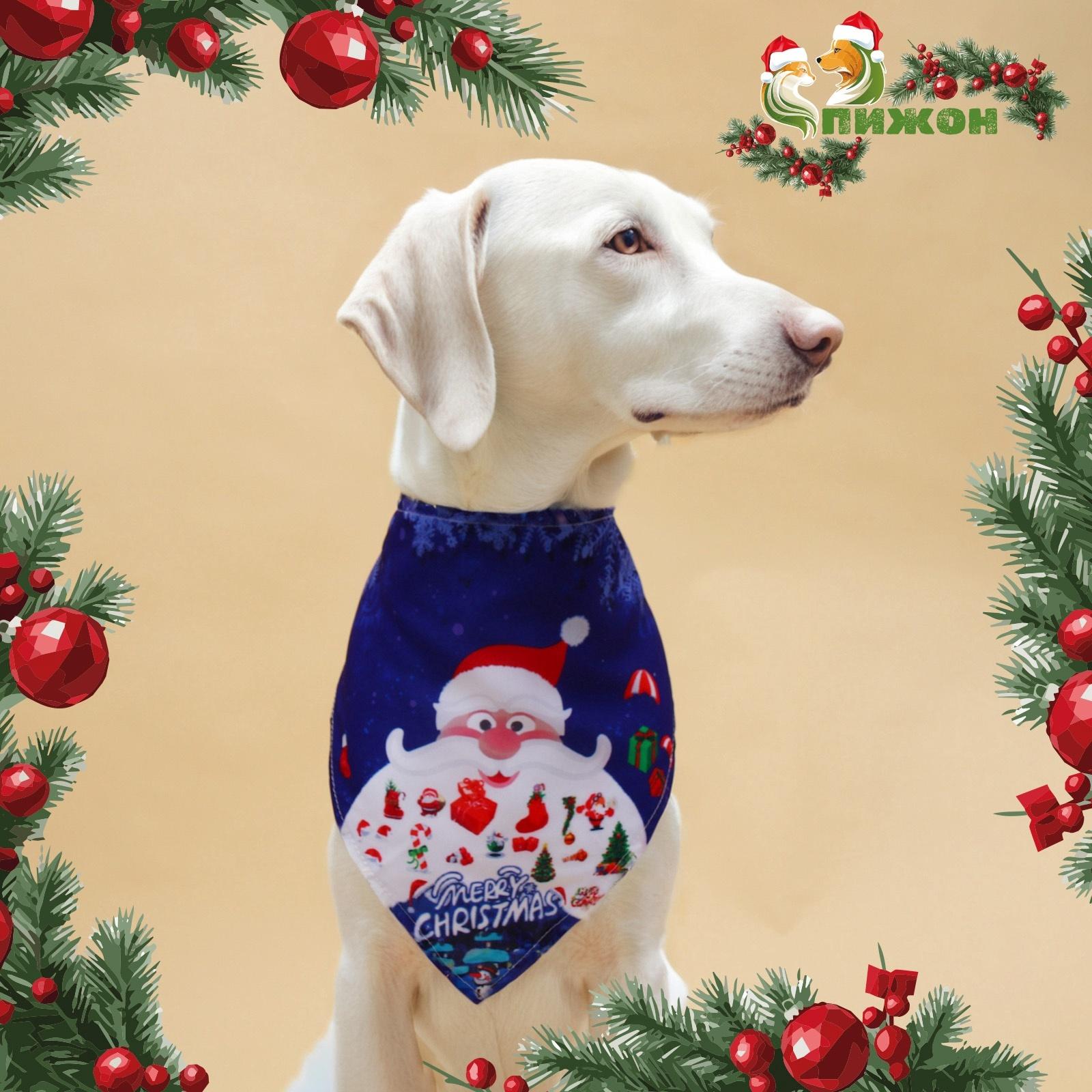 Бандана для животных 