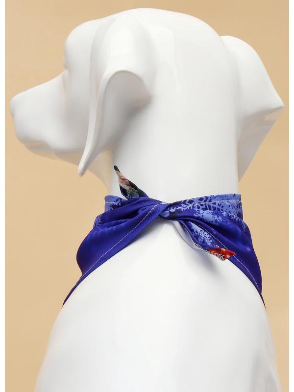 Бандана для животных 