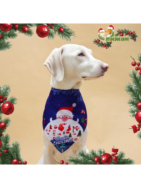 Бандана для животных 