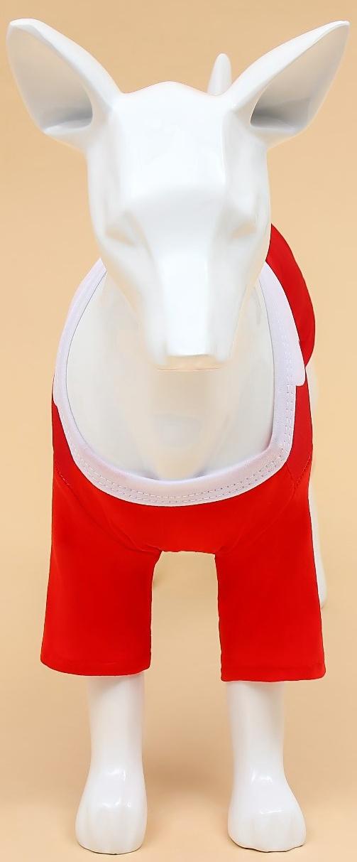 Толстовка для собак с колпаком Santa, размер L (ДС 35, ОГ 45 см)