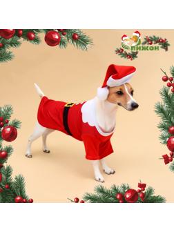 Толстовка для собак с колпаком Santa, размер L (ДС 35, ОГ 45 см)