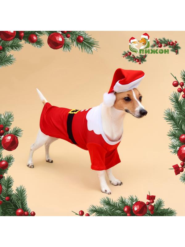 Толстовка для собак с колпаком Santa, размер L (ДС 35, ОГ 45 см)