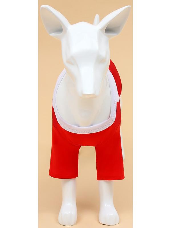 Толстовка для собак с колпаком Santa, размер L (ДС 35, ОГ 45 см)