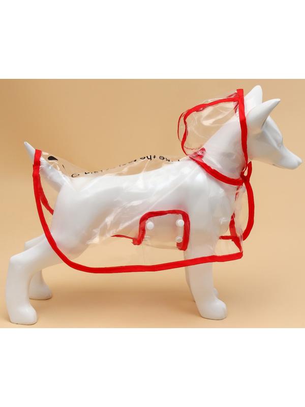 Дождевик для собак, размер L  (ДС 30, ОГ 41-46, ОШ 42 см), красный