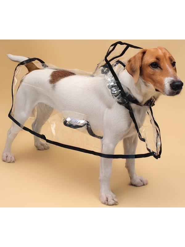 Дождевик для собак, размер 4XL, (ДС 50, ОГ 60-66, ОШ  56 см), чёрный