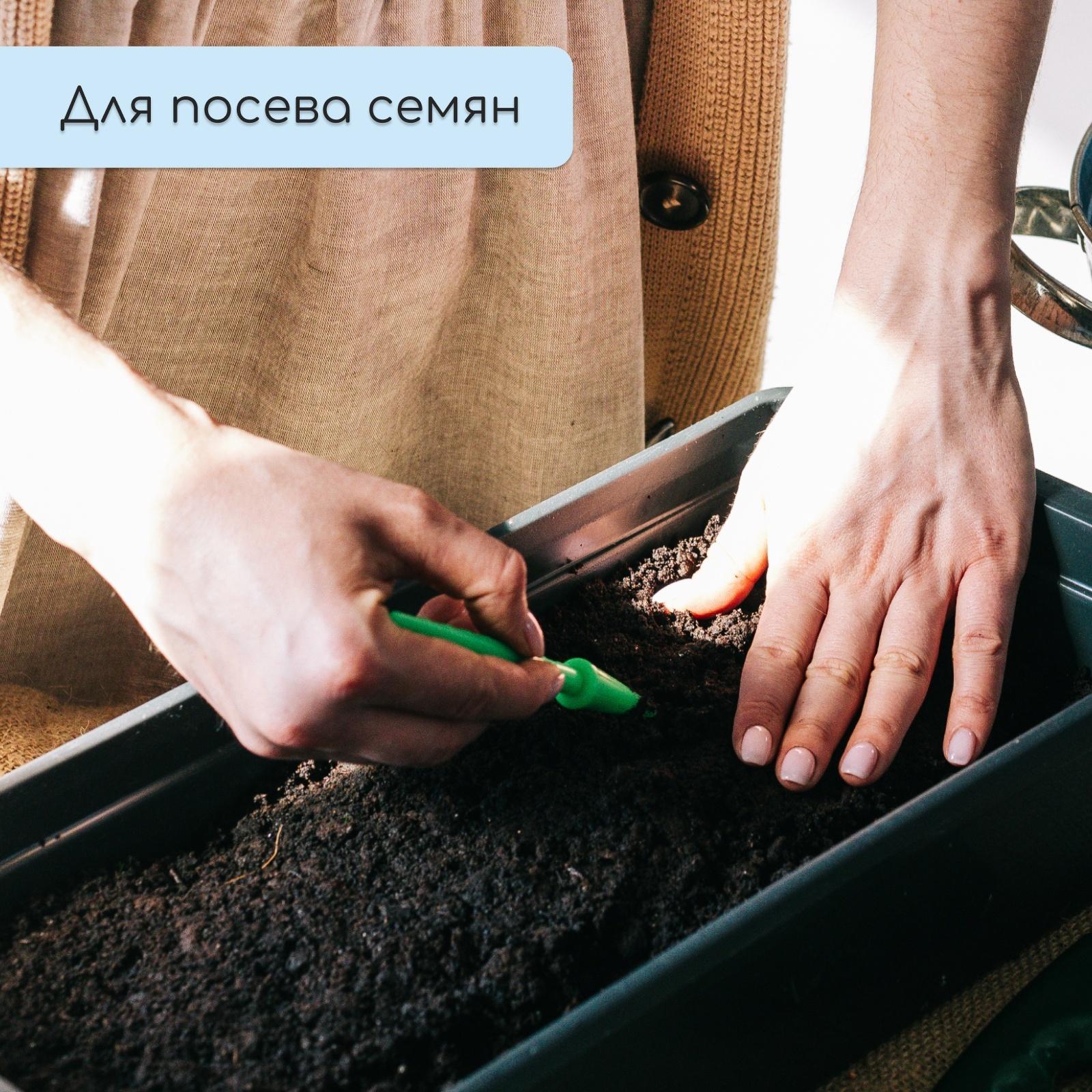 Ящик для рассады, 60×14.5×9 см, 4.5 л, пластик, МИКС