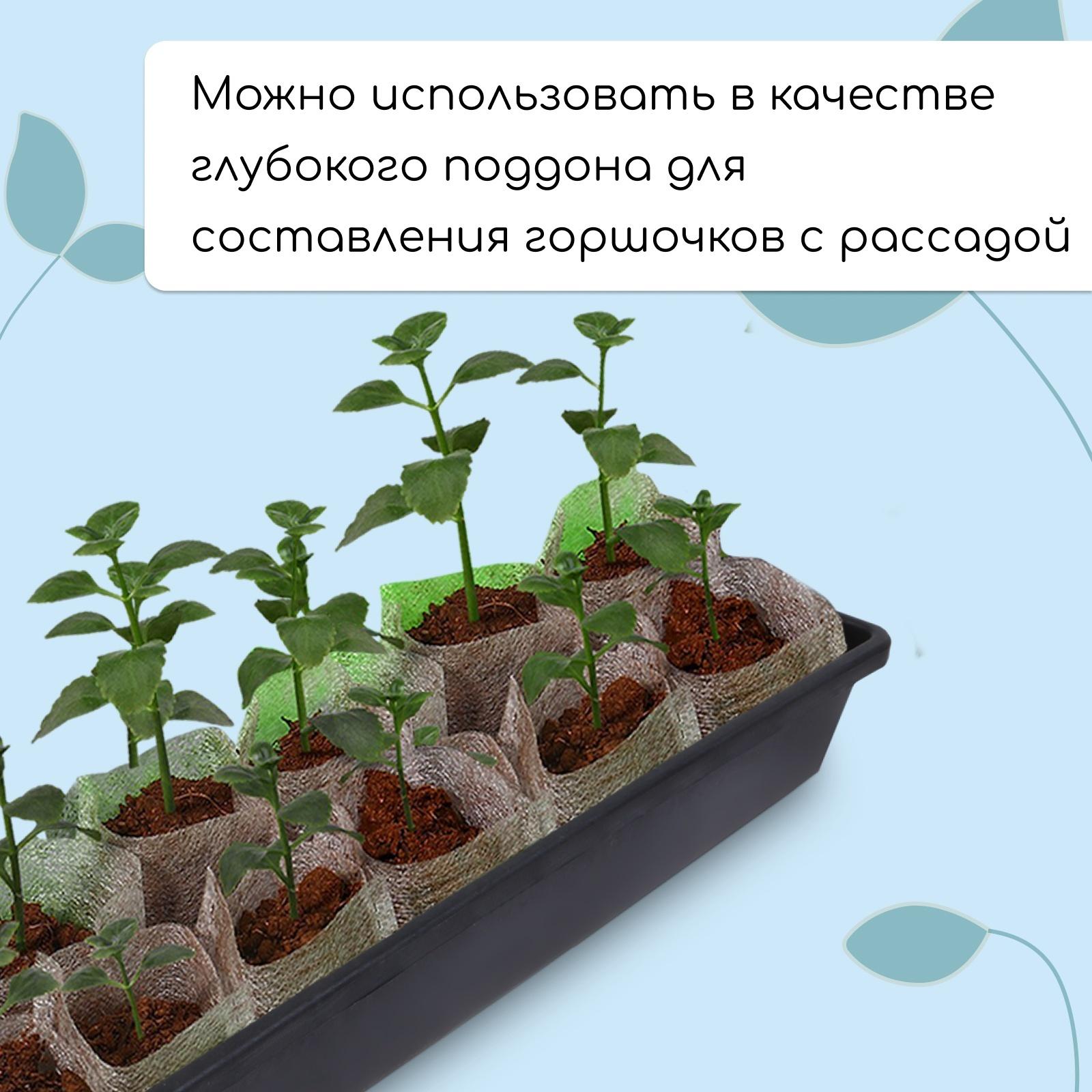 Ящик для рассады, 60×14.5×9 см, 4.5 л, пластик, МИКС