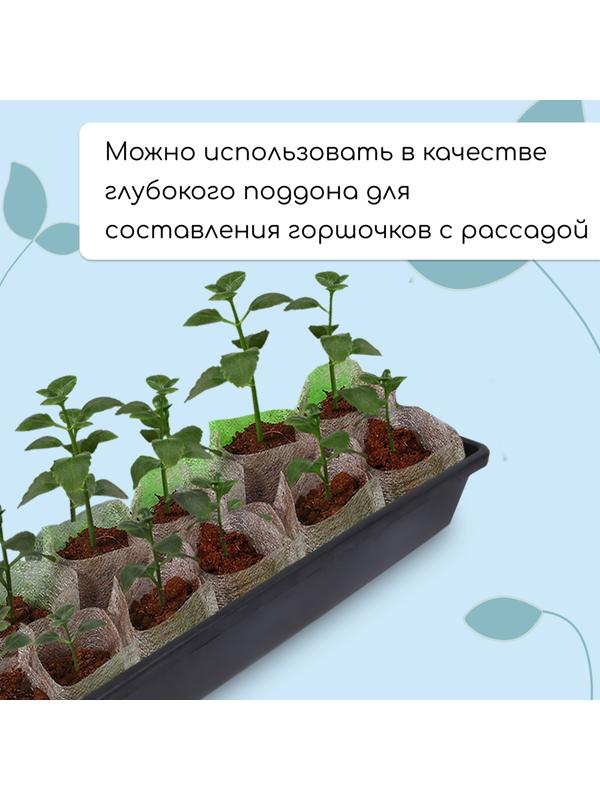 Ящик для рассады, 60×14.5×9 см, 4.5 л, пластик, МИКС