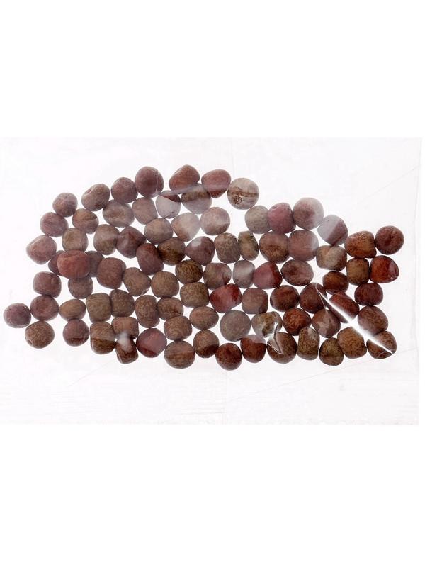 Набор для опытов «Мой минисад», выращивание травки, своими руками