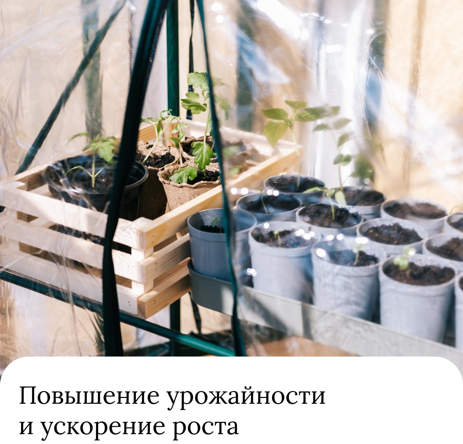 Парник-стеллаж, 4 полки, 105 × 24 × 46 см, металлический каркас d = 12 мм, чехол плёнка 80 мкм, Greengo