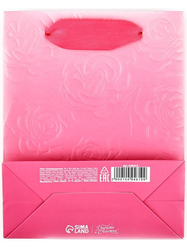 Пакет ламинированный вертикальный «Цветы», S 12 х 15 х 5.5 см