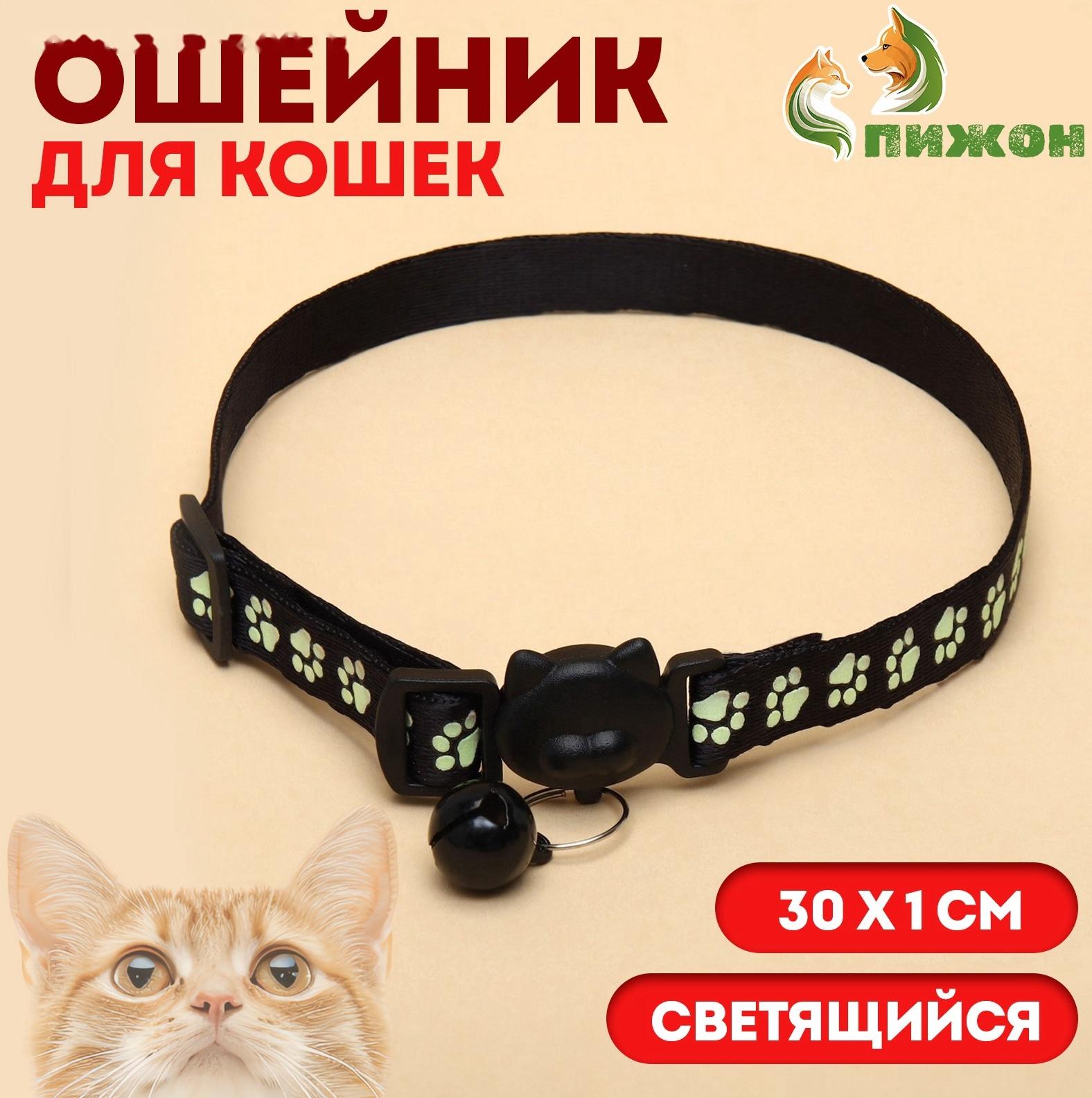 Ошейник кошачий 