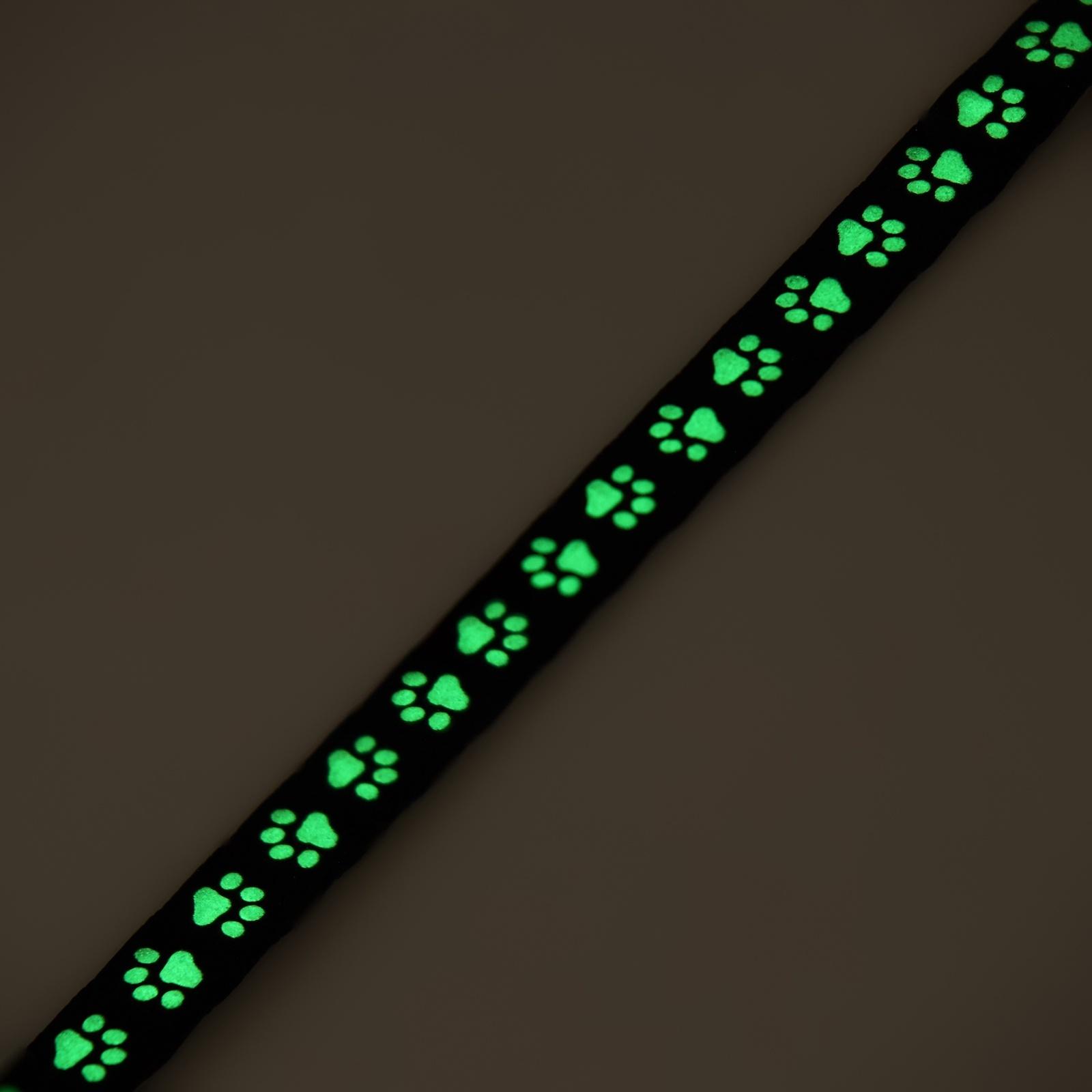 Ошейник кошачий 