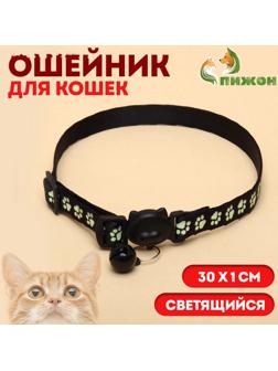 Ошейник кошачий 