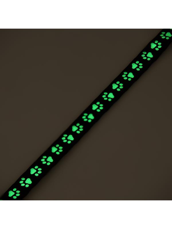 Ошейник кошачий 