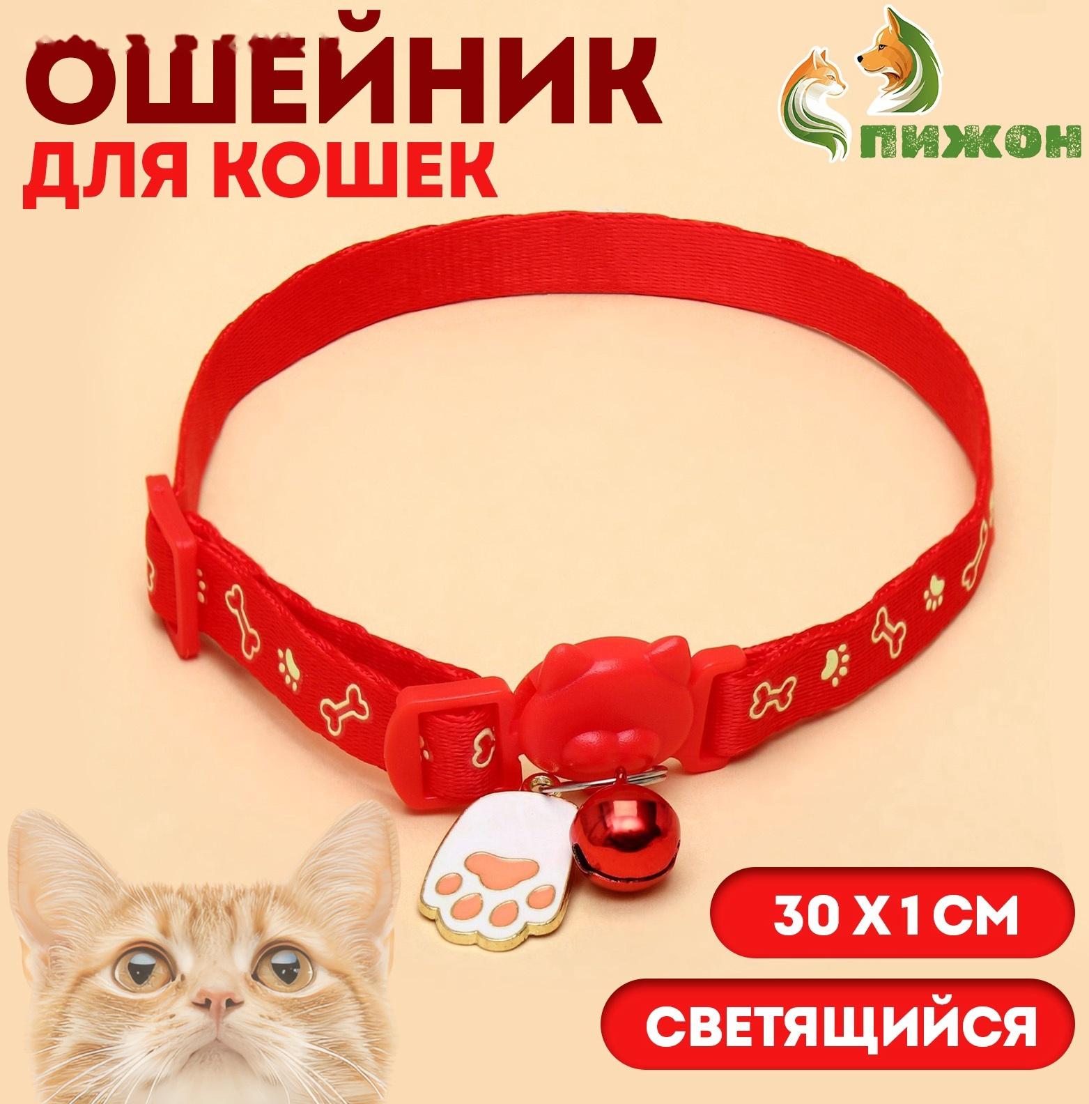 Ошейник кошачий 