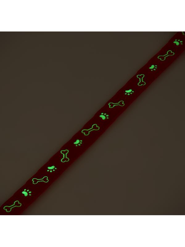 Ошейник кошачий 