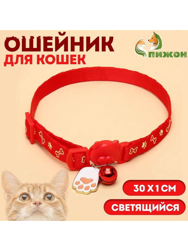 Ошейник кошачий 