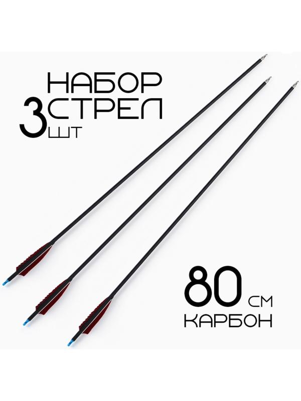 Набор стрел для лука 3 шт, карбон, черная, оперение - красное, 80 см