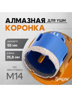 Коронка алмазная ТУНДРА, для УШМ, 55×35.8 мм, М14