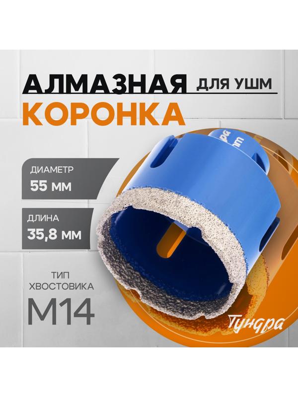 Коронка алмазная ТУНДРА, для УШМ, 55×35.8 мм, М14