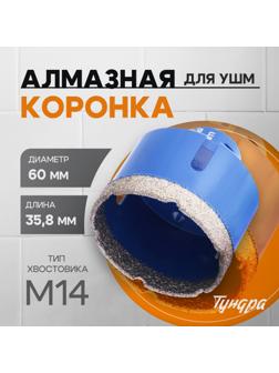 Коронка алмазная ТУНДРА, для УШМ, 60×35.8 мм, М14
