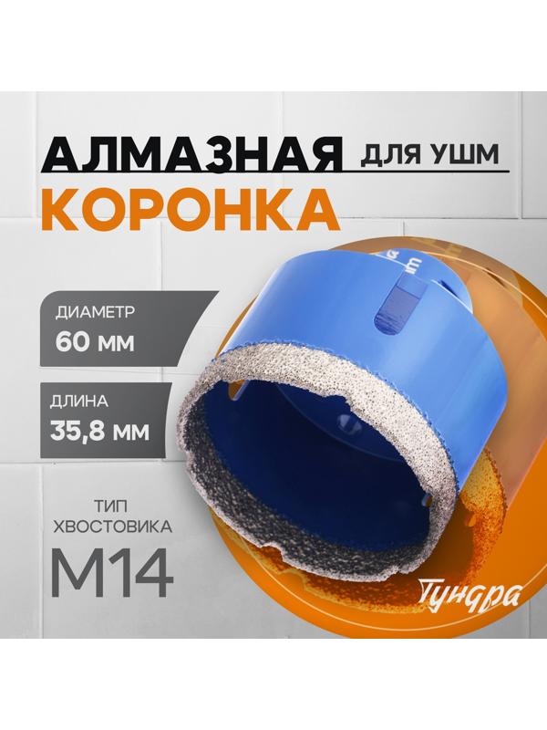 Коронка алмазная ТУНДРА, для УШМ, 60×35.8 мм, М14