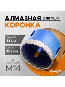 Коронка алмазная ТУНДРА, для УШМ, 65×35.8 мм, М14