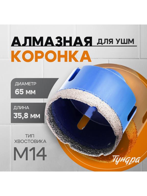 Коронка алмазная ТУНДРА, для УШМ, 65×35.8 мм, М14