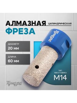 Фреза алмазная цилиндрическая ТУНДРА, по камню, кафелю и керамограниту, 20×40 мм, М14