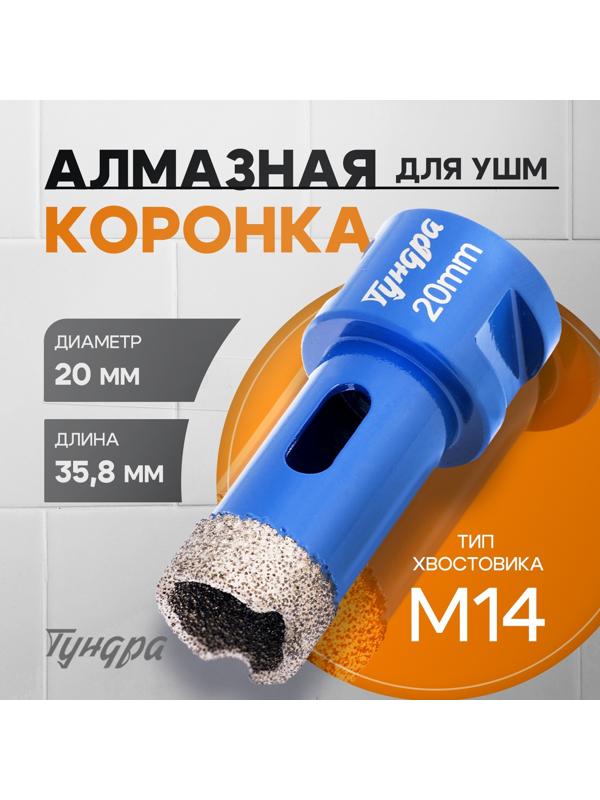 Коронка алмазная ТУНДРА, для УШМ, 20×35.8 мм, М14