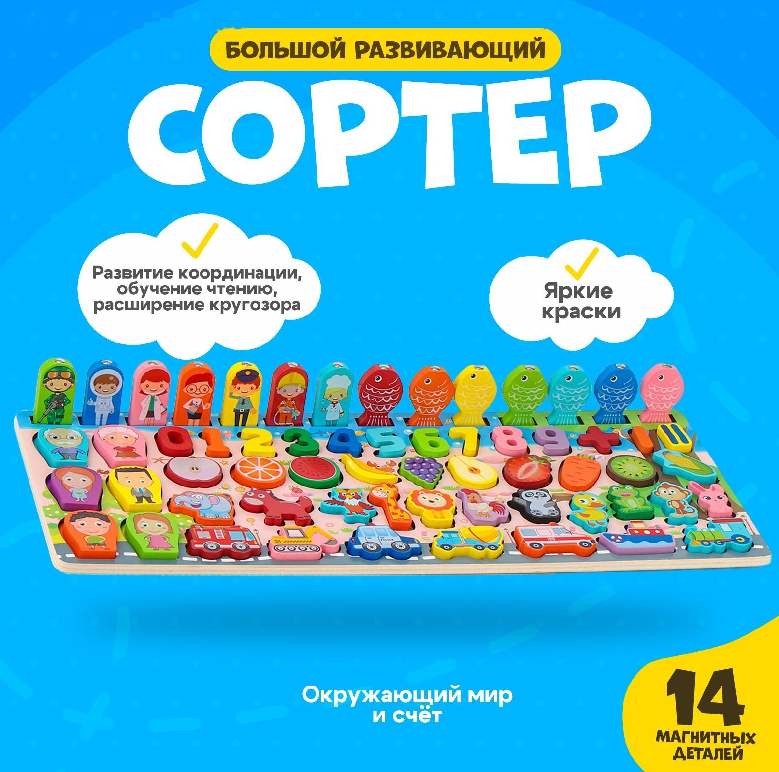 Большой развивающий набор для детей «Сортер. Окружающий мир и счёт»